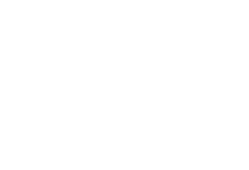 Nicholson Insurance Inc - Logo 800 White